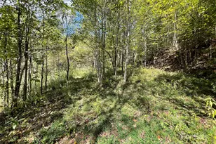 00 Poplar Holler Rd, Waynesville, NC 28786 - Photo 1