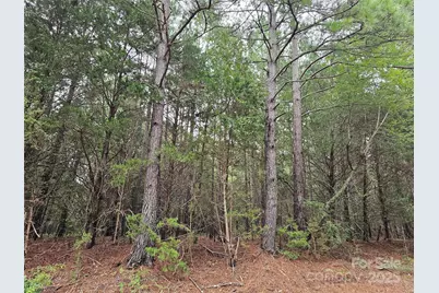 000 Cemetery Road, Fort Lawn, SC 29714 - Photo 1