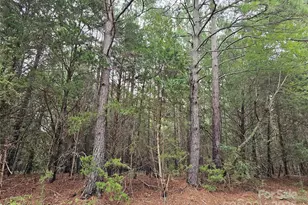 000 Cemetery Rd, Fort Lawn, SC 29714 - Photo 1