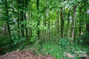15312 Sharpe Rd, Mint Hill, NC 28227 - Photo 1