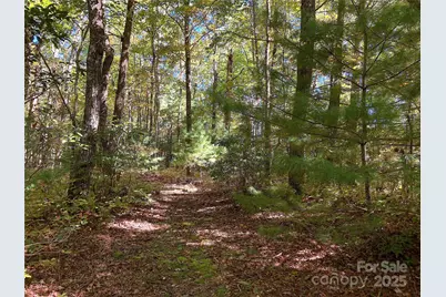 000 Middleton Court, Brevard, NC 28712 - Photo 1