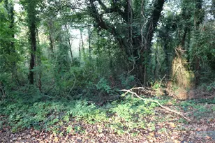 0 Carver Ln, Forest City, NC 28043 - Photo 1