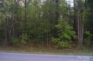 000 Old Monroe Marshville Rd, Wingate, NC 28174 - Photo 1