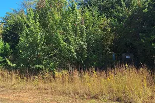 25 Planters Row Rd, Iron Station, NC 28080 - Photo 1