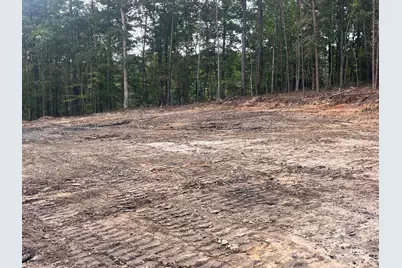 V/L W V Thompson Road #2,3, Rutherfordton, NC 28139 - Photo 1