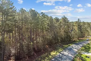 4121 Persimmon Rd, Lancaster, SC 29720 - Photo 1