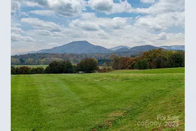 265 Majestic Ridge Road #61, Mills River, NC 28759 - Photo 1