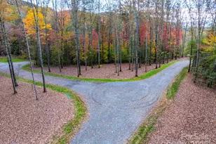 000 Nature Walk Ln, Hendersonville, NC 28739 - Photo 1