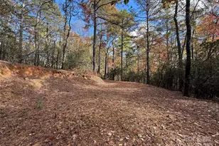 171 Duff Cv Rd, Brevard, NC 28712 - Photo 1