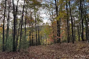 692 Blue Mist Way, Arden, NC 28704 - Photo 1