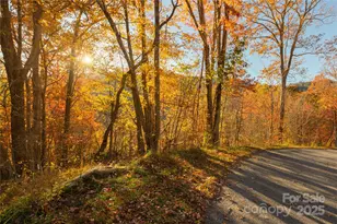 0 Wesley Creek Rd, Clyde, NC 28721 - Photo 1