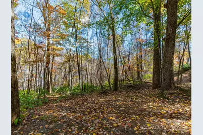 00 Village Lane #Lot 1, Waynesville, NC 28786 - Photo 1