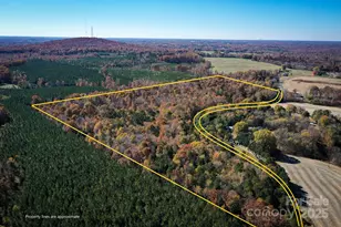 00 Mountain Rd, Cleveland, NC 27013 - Photo 1