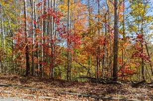 528 Park Way, Lenoir, NC 28645 - Photo 1