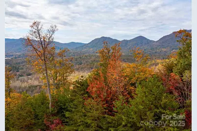 0000 Holland Drive, Columbus, NC 28722 - Photo 1