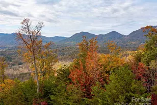 0000 Holland Dr, Columbus, NC 28722 - Photo 1