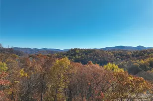 890 Panther Branch Rd, Hot Springs, NC 28743 - Photo 1
