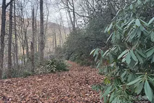 2664 Nc Hwy 9 Hwy, Black Mountain, NC 28711 - Photo 1