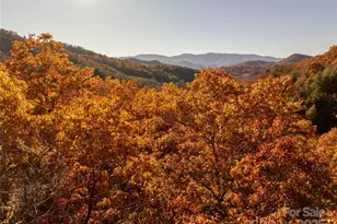 4444 Conley Ridge Trail, Franklin, NC 28734 - Photo 1