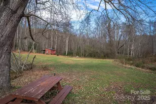 99999 Walker Cv Rd, Black Mountain, NC 28711 - Photo 1