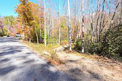 99999 Long Branch Road, Swannanoa, NC 28778 - Photo 1