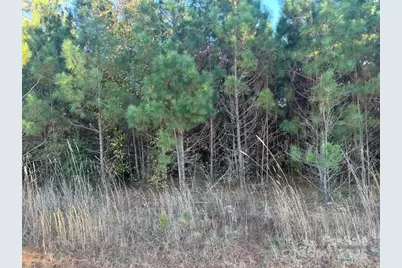 00 Edwards Road, Fort Lawn, SC 29714 - Photo 1