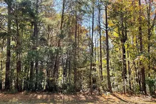 194 Henry Chapel Rd, Belmont, NC 28012 - Photo 1