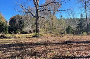 339 Bobby McKinney Rd, Union Mills, NC 28167 - Photo 1