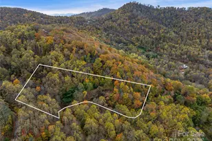 45 Flora Rose Trl, Asheville, NC 28803 - Photo 1