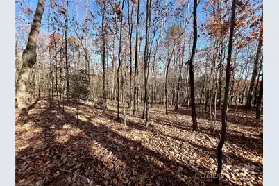 00 Sam Poole Lane, Taylorsville, NC 28681 - Photo 1