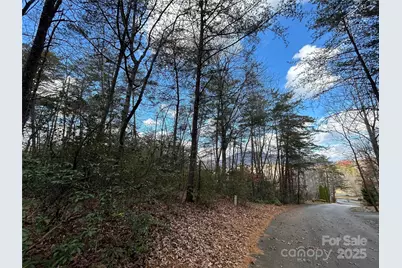 0 Raleigh Drive #2, Lake Lure, NC 28746 - Photo 1
