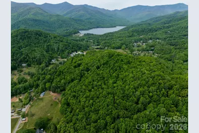 9999 North Fork Road #5 & 6, Black Mountain, NC 28711 - Photo 1