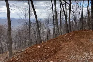 Lot 6 Andrew Banks Rd, Burnsville, NC 28714 - Photo 1
