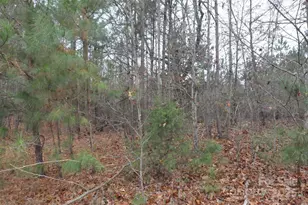 000 Josie Rd, Blackstock, SC 29014 - Photo 1