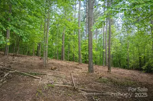 212 Harbor Ridge Dr, Connelly Springs, NC 28612 - Photo 1