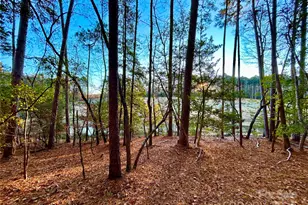 000 Shagbark Ct, Mount Gilead, NC 27306 - Photo 1