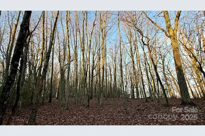 1615 Fox Dairy Road, Newton, NC 28658 - Photo 1