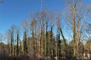 00 Westview Dr, Fletcher, NC 28791 - Photo 1