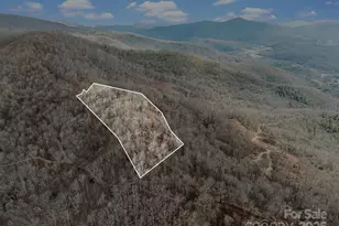 000 Christian Creek Rd, Swannanoa, NC 28778 - Photo 1