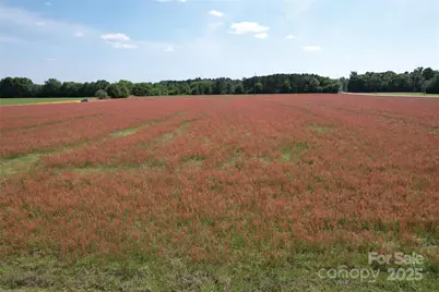 6 Rogers Lane, Bennettsville, SC 29512 - Photo 1