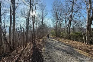 18 19 20 21 Brer Rabbit Trail, Waynesville, NC 28785 - Photo 1