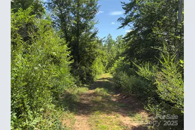 0 Collins Road #2, Bostic, NC 28018 - Photo 1