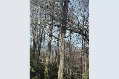 226 Greenbriar Road #322 C, Beech Mountain, NC 28604 - Photo 1