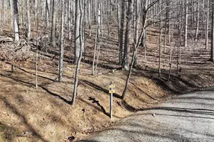 Lot 22 Top Drop Ln, Sylva, NC 28779 - Photo 1