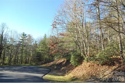 000 Didrikson Way #244, Hendersonville, NC 28739 - Photo 1