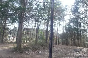 433 Parson Rd, Wadesboro, NC 28170 - Photo 1