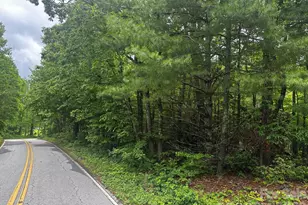 784 Shumont Rd, Black Mountain, NC 28711 - Photo 1