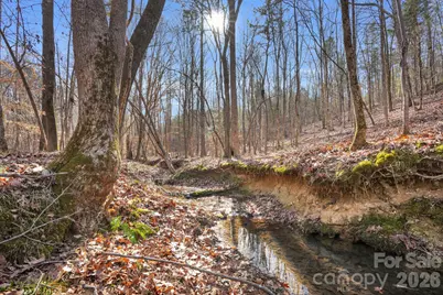 0000 Shannon Road, Blackstock, SC 29014 - Photo 1