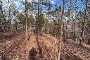 254 Stoney Creek Dr, Nebo, NC 28761 - Photo 1