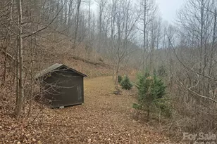 000 Icicle Ridge, Sylva, NC 28779 - Photo 1